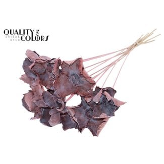 QC Palm Cup on stem Frosted Light Pink