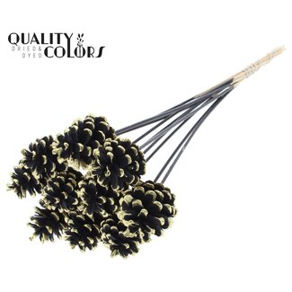 QC Dennenappel op stok | Kleur: Zwart met Goudkleurig | Black + Gold Tipped Bijsteker | Diameter dennenappel 5 - 7 centimeter | Lengte ± 50 centimeter | Per 10 bijstekers