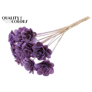 QC Shola Houten Roos op stok | Kleur: Milkapaars | Shola Beetal Rose Bijsteker | Diameter roos 8 centimeter | Lengte bijsteker ± 50 centimeter | Per 10 bijstekers