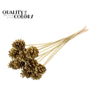 QC Pine cone on stick | Colour: Gold with Glitter | Pine cone diameter 5 - 7 centimetres | Length ± 50 centimetres | Per 10 picks