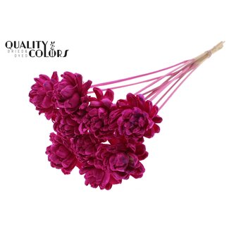 QC Shola Houten Roos op stok | Kleur: Lilakleurig | Shola New Beauty Rose Bijsteker | Diameter roos 6 centimeter | Lengte bijsteker ± 50 centimeter | Per 10 bijstekers