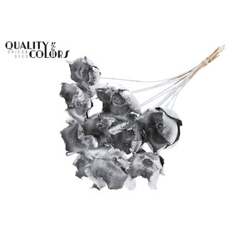 QC Dried Palm Cup on stem | Colour: Silver | Length ± 50 centimetres | Per 10 stems