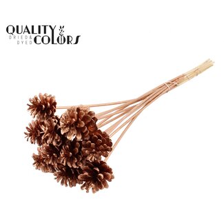 QC Pine cone on stick | Colour: Copper-coloured | Pine cone diameter 5 - 7 centimetres | Length ± 50 centimetres | Per 10 picks