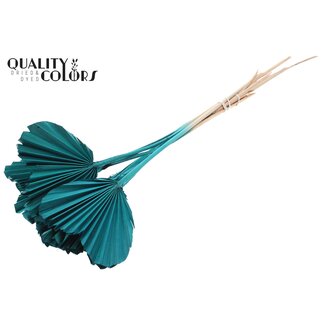 QC Gedroogde Palm Spear Hartvormig | Kleur: Turquoise | Lengte ± 45 centimeter | Per 10 takken