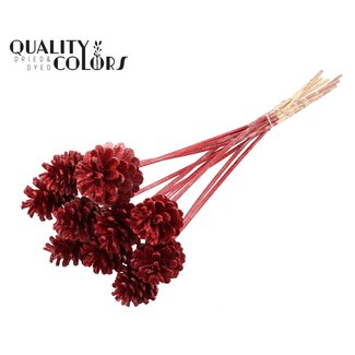 QC Dennenappel op stok | Kleur: Rood met Glitter | Diameter dennenappel 5 - 7 centimeter | Lengte ± 50 centimeter | Per 10 bijstekers