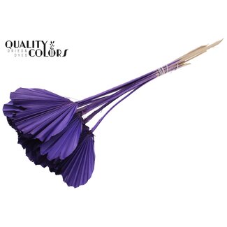 QC Dried Palm Spear Heart-Shaped | Colour: Purple | Length ± 45 centimetres | Per 10 stems