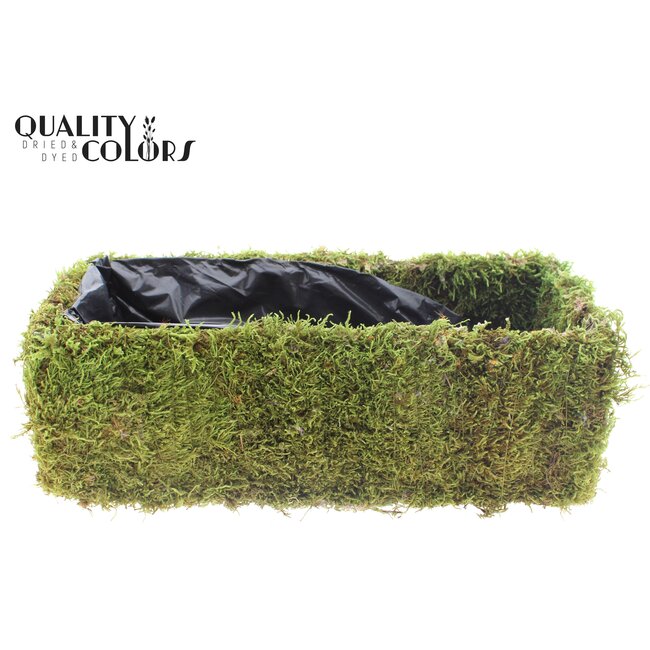 Planter Flat Moss Rectangular L35 cm B15cm
