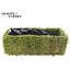 Planter Flat Moss Rectangular L35 cm B15cm