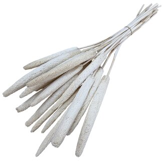 Casa Alegria White bleached Babala dried flowers | Length ± 65 centimetres | Per 15 stems