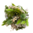 Bouquet of dried flowers Wow Prato | Length ± 35 centimetres | With white and light green dried flowers
