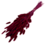 Bordeaux Red Lagurus Dried Flowers | Length ± 70 centimetres | Weight ± 100 grams