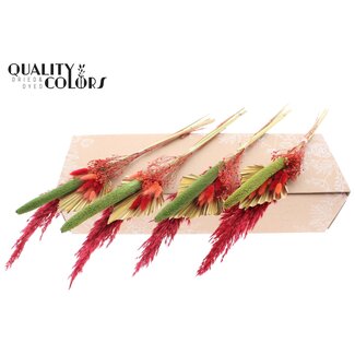 QC Dried Palm Leaf in Spear Shape Bouquet “XMas” | Colour: Mixed Colours | Length ± 55 centimetres | Per 9 bouquets