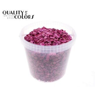 QC Noordzee Schelpen in herbruikbare emmer | Kleur: Kerskleurig | Inhoud emmer 10 liter | Per emmer