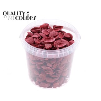 QC North Sea Shells in a Reusable Bucket | Colour: Red | Bucket Capacity 1 Litre | Per 6 Buckets