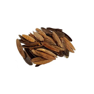 QC Triangular Pod | Colour: Natural Brown | 250 grams per bag | Per 4 bags