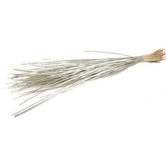 QC Rechte Nerf van Palmblad | Kleur: Platinakleurig | Straight Ting Ting Droogdecoratie | Lengte ± 70 centimeter | 5 vertakkingen per tak | Per bos