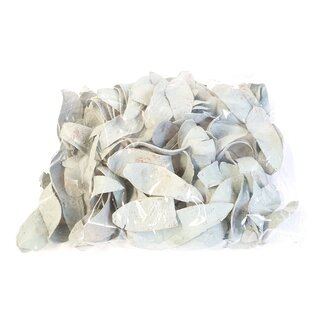 QC Dried Deco Mahogany "Spoon" | Colour: Frosted Grey | Dried Decoration | Bag contents 500 grams | Per 4 bags