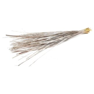 QC Straight Palm Leaf Nerve | Colour: Champagne | Straight Ting Ting Dried Decoration | Length ± 70 centimetres | 5 branches per stem | Per bunch