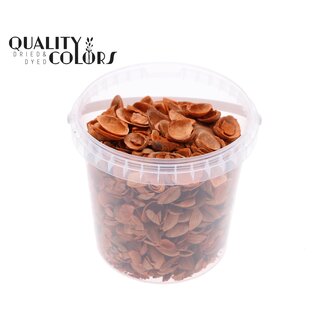 QC North Sea Shells in Reusable Bucket | Colour: Orange | Bucket Capacity 1 Litre | Per 6 Buckets