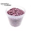 North Sea Shells in Reusable Bucket | Colour: Frosted Pink | Bucket Capacity 10 Litres | Per Bucket