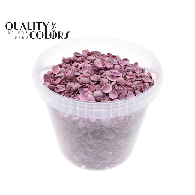 North Sea Shells in Reusable Bucket | Colour: Frosted Pink | Bucket Capacity 10 Litres | Per Bucket