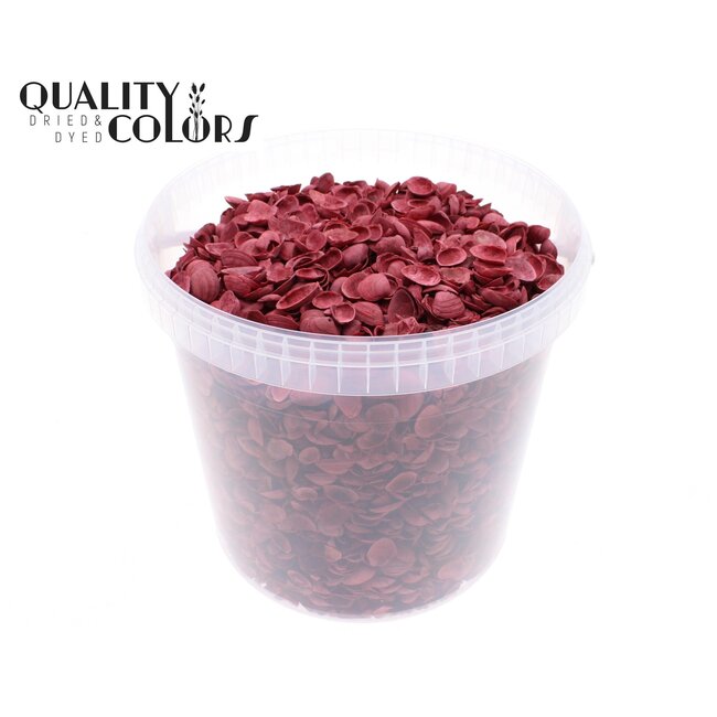 North Sea Shells in Reusable Bucket | Colour: Red | Bucket Capacity 10 Litres | Per Bucket