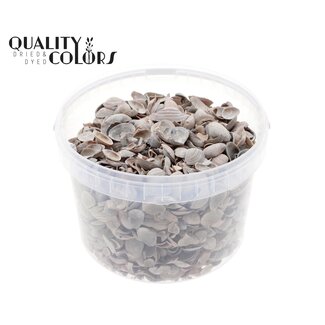 QC Noordzee Schelpen in herbruikbaar emmertje | Kleur: Frosted Wit | Inhoud emmer 3 liter | Per emmer