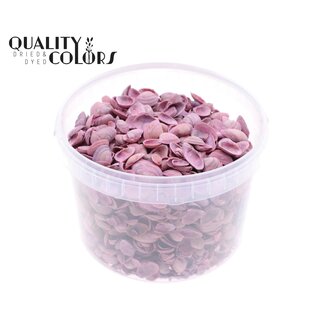 QC North Sea Shells in a reusable bucket | Colour: Frosted Light Pink | Bucket content 3 litres | Per bucket