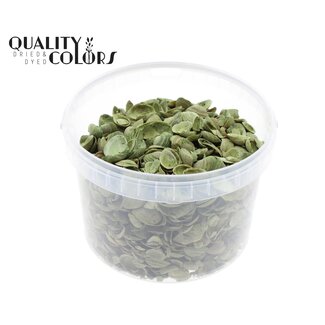 QC North Sea Shells in a reusable bucket | Colour: Apple Green | Bucket capacity 3 litres | Per bucket