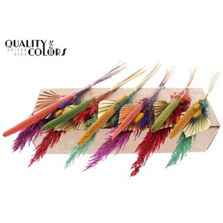 QC Gedroogd Palmblad in speervorm Boeket “Assorted” | Kleur: Gemengde Kleuren | Lengte ± 55 centimeter | Per 9 boeketten