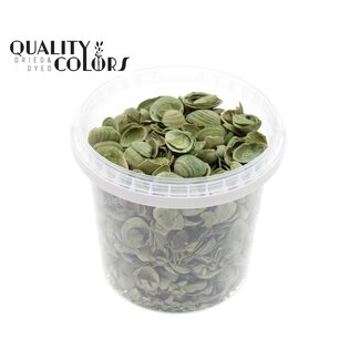 QC North Sea Shells in a reusable bucket | Colour: Light green | Bucket capacity 1 litre | Per 6 buckets