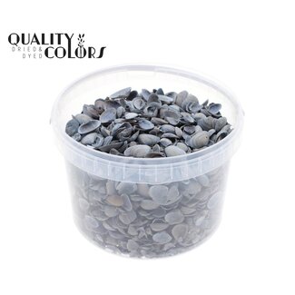 QC Noordzee Schelpen in herbruikbaar emmertje | Kleur: Frosted Blauw | Inhoud emmer 3 liter | Per emmer