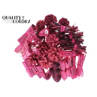 QC Bouquet Mix on Stick | Colour: Frosted Cherry Colour | Stick Length ± 50 centimetres | 40 sticks per bunch | Per bunch