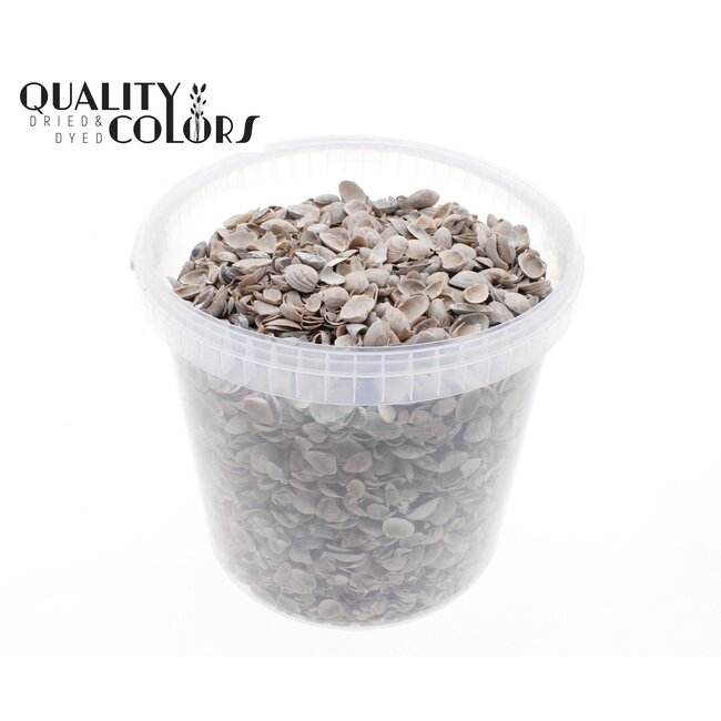 North Sea Shells in Reusable Bucket | Colour: Frosted White | Bucket Capacity 10 Litres | Per Bucket