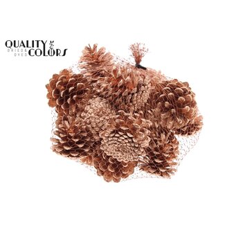 QC Pine Cones | Colour: Copper | Weight: 500 grams per net | Per 4 nets