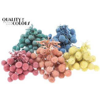 QC Small Ball on Stick | Pearl Mix | Colour: Mixed Colours | Small Ball Stick | 10 sticks per bunch | Per 5 bunches