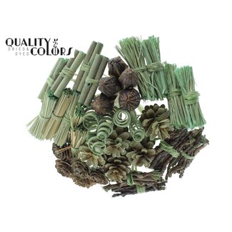 QC Bouquet Mix on Stick | Colour: Frosted Mint Green | Length of stick-in ± 50 centimetres | 40 stick-ins per bunch | Per bunch
