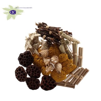 QC Boeket Mix op stok met Naturelle Achillea | Kleur: Bruin | Lengte bijsteker ± 50 centimeter | 40 bijstekers per bos | Per bos