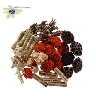 QC Bouquet Mix on Stick with Orange Achillea | Colour: Brown | Stick length ± 50 centimetres | 40 sticks per bunch | Per bunch