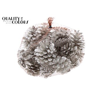 QC Pine Cones | Colour: Platinum | Weight 500 grams per net | Per 4 nets