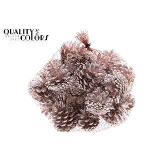 QC Pine Cones | Colour: Champagne | Weight: 500 grams per net | Per 4 nets