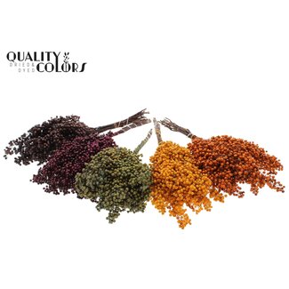 QC Dried Pepper Berry Picks | Pumpkin Mix | Colour: Mixed Colours | Schinus Dried Decoration | Weight ± 170 grams | Per 5 bunches