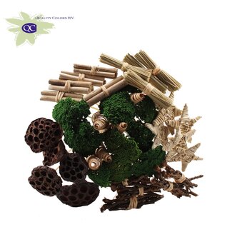 QC Boeket Mix op stok met Groene Achillea | Kleur: Bruin | Lengte bijsteker ± 50 centimeter | 40 bijstekers per bos | Per bos