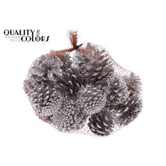 QC Pine Cones | Colour: Silver | Weight: 500 grams per net | Per 4 nets