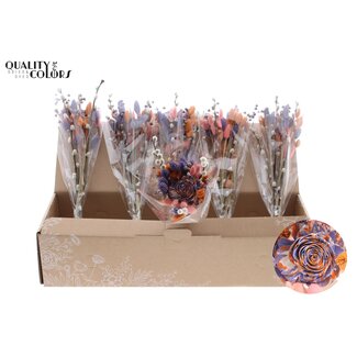 QC Boeket Droogbloemen “Fruity Sunset” | Kleur: Milkapaars | Lengte ± 45 centimeter | Per 6 boeketten