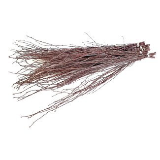 QC Dried Birch Branches | Colour: Natural Brown | Length ± 70 centimetres | 10 branches per bunch