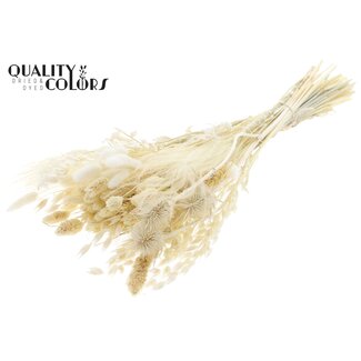 QC Round Bouquet of Dried Flowers “Frost” | Colour: White | Size: Large | Length ± 70 centimetres | Per 5 bouquets