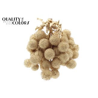 QC Small Ball on Stick | Colour: Antique Gold | Small Ball Stick-in | 10 sticks per bunch | Per 5 bunches