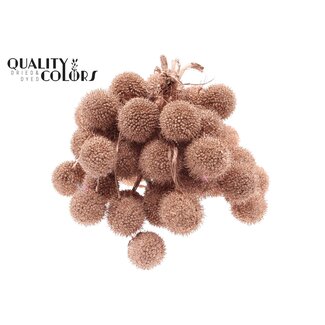 QC Small Ball on Stick | Colour: Copper | Small Ball Stick | 10 sticks per bunch | Per 5 bunches