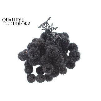 QC Small Ball on Stick | Colour: Black with Glitter | Small Ball Pick | 10 picks per bunch | Per 5 bunches